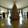 White House Tree in the Blue Room